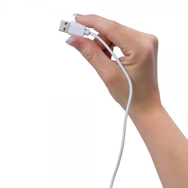 Screaming O ReCharge Charging Cable